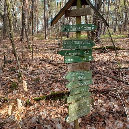 Waldblick Villa Cavertitz Dış mekan fotoğraf